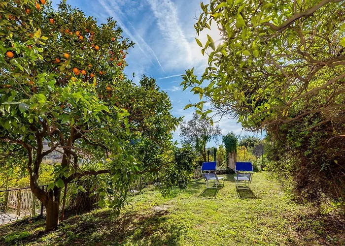 Villa Teresa A Due Passi Da Finalborgo Finale Ligure